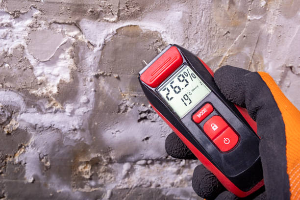 Best Mold Testing  in New Cumberland, PA
